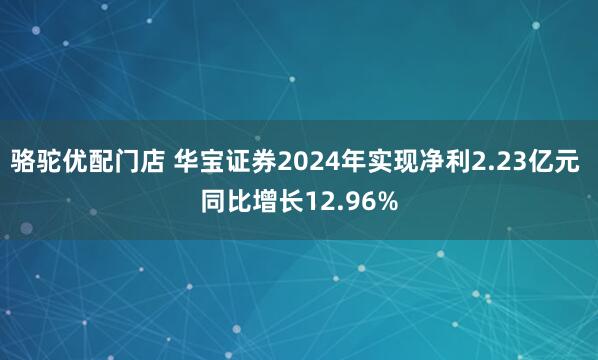 骆驼优配门店 华宝证券2024年实现净利2.23亿元 同比增长12.96%