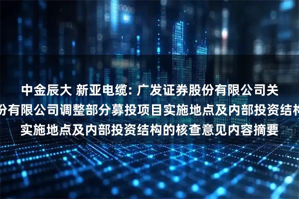中金辰大 新亚电缆: 广发证券股份有限公司关于广东新亚光电缆股份有限公司调整部分募投项目实施地点及内部投资结构的核查意见内容摘要